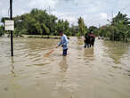 Banjir Terjang Sragen, 30 Hektare Sawah di Desa Sribit Terancam Gagal Panen