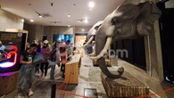 Ratusan Pengunjung Meriahkan Animalium Fest 2025