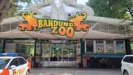 Kasus Korupsi Bandung Zoo: Tony Sumampau Pernah Ingatkan Romli Bratakoesoema untuk Taat Pajak