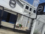 Merespons Peristiwa di GMS Bantul, Bupati Halim Menyerukan Semangat Toleransi