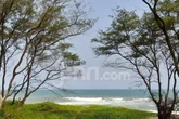Pemkab Bantul Turunkan HTM di 9 Pantai Menjadi Rp 5.000