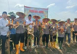 Polres Serang Targetkan 305 Hektare Lahan Tidur Jadi Kebun Jagung