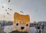 Festival Layang-Layang Diklaim Sukses, Bantul Siap untuk Event Internasional