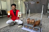 Cegah Ayam Stres, Mahasiswa Untag Ciptakan Sistem Pendingin & Lampu Berbasis IoT