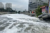 DLH Surabaya Tegaskan Busa Putih di Kalisari Damen Akibat Limbah Rumah Tangga