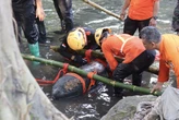 Geger! Bom Udara Aktif Ditemukan di Sungai Blitar