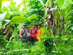 Niat Mencari Melinjo, Kakek Asal Serang Hilang di Hutan