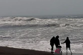 BMKG Keluarkan Peringatan Dini, Gelombang Tinggi Ancam Pantai Selatan Jateng
