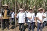 Khofifah dan PT SGN Perkuat Program Bongkar Ratoon, Kejar Swasembada Gula Nasional