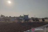 156 Kuda dari 12 Provinsi Berpacu di SSA Bantul dalam Ajang IHR 2025