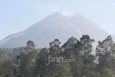 Gunung Merapi Dalam Sepekan: 495 Kali Gempa Guguran