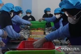 Produksi yang Besar Jadi Pemicu Keracunan MBG