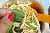 Viral Menu MBG di Tuban Berisi Ulat dalam Tumpukan Sayur