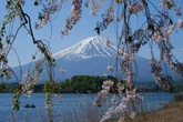 Jepang Resmi Naikkan Biaya Visa untuk Warga Asing, Ini Tarif Terbarunya