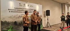 Hashim S Djojohadikusumo Ingin Indonesia Jadi Pusat Pelatihan dan Pelestarian Bambu Dunia