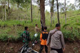 Pohon di Jalur Trenggalek-Pacitan Rapuh dan Rentan Tumbang, Harap Wapada