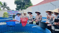 Program Ketahanan Pangan Polres Depok Hasilkan 2 Ton Lele Setiap Bulan