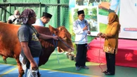 UPGRIS Bagikan 1.250 Paket Daging Kurban, Rektor: Kita Semua Adalah Ibrahim