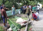 Jogja Butuh Banyak Pasokan Kurban, Penjual Wajib Mengantongi SKKH