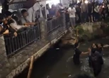 Kepergok Warga Saat Beraksi, Pencuri Motor di Depok Nekat Ceburkan Diri ke Kali
