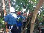Lansia di Bantul Tewas Tersengat Listrik saat Memanjat Pohon