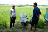 Program SINAR PLN Jadi Harapan Baru Petani Wujudkan Ketahanan Pangan Nasional