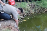 Lahan Sawah di Jember Diduga Tercemar Limbah, Pemkab Lakukan Uji Sampel