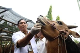 Kurban di Surabaya Diperiksa Ketat Meski Kantongi Surat Sehat dari Daerah Asal