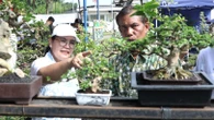 Akademi Bonsai akan Dibangun di Semarang, Wali Kota Agustina Dukung Penuh