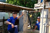Dramatis! Damkar Kediri Evakuasi Sapi Limosin yang Tercebur ke Sumur Sedalam 25 Meter