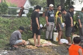 DLH Surabaya Masih Temukan Warga Cuci Rumen di Sungai, 1 Orang Disanksi Tipiring