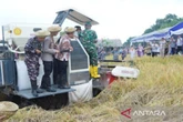 Pemkot Gandeng Kelompok Tani Untuk Jaga Ketahanan Pangan di Banjarmasin
