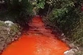 Tercemar Limbah, Air Sungai di Bogor Berubah Jadi Oranye