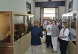 5 Museum yang Wajib Dikunjungi Saat Momen Liburan Sekolah