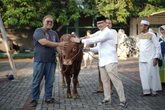 Momen Penuh Makna Iduladha di Dindik Jatim, Begini Suasananya