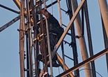 Lihat, Pria Ini Tak Berkutik Saat Aksinya Tepergok Petugas