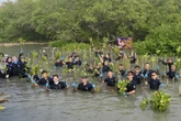Cegah Abrasi, PT PAL Indonesia Tanam 2.000 Mangrove di Pesisir Gunung Anyar