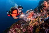 Menyelam, Risiko, dan Rasa Hormat kepada Laut