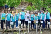 Festival Mangrove VII: IKA Unair Tanam Ribuan Pohon & Layanan Kesehatan Gratis