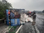 Sopir Truk Oleng di Tol Cipularang KM 100 Tewas di Lokasi Kejadian