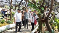 Terlengkap di Asia Tenggara, Rumah Kaca Hoya Jadi Kado Istimewa HUT ke-208 Kebun Raya Bogor