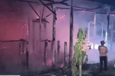 Dua Kandang Ternak Terbakar di Tulungagung dalam Tiga Jam, 3.100 Ayam Mati