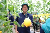 Kebun Riset Kujang Kampioen Hasilkan Komoditas Pangan Berkualitas