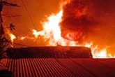 Lupa Mematikan Kompor, 7 Rumah Kontrakan Ludes Terbakar di Jemur Wonosari Surabaya