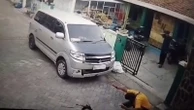 Viral Kucing Ditembak Mati di Semarang, Tak Sampai 24 Jam, Polisi Tangkap Pelaku