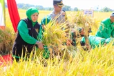 Jatim Dekati Produksi 9 Juta Ton Padi di Awal 2025, Gubernur Khofifah Bilang Begini