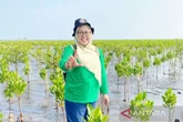 ULM Terima Dana dari BRIN Untuk Riset Pertanian Lahan Basah