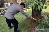 Petugas Kebersihan Temukan Mortir di TMII, Langsung Dievakuasi
