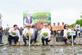 Lewat Penanaman Mangrove, Jatim Teguhkan Langkah Menuju Net Zero Emission 2060
