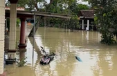 Banjir Terjang Grobogan Tengah Malam, Ratusan Warga Terpaksa Mengungsi
